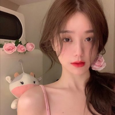 蝙蝠侠与哈莉·奎恩 海报